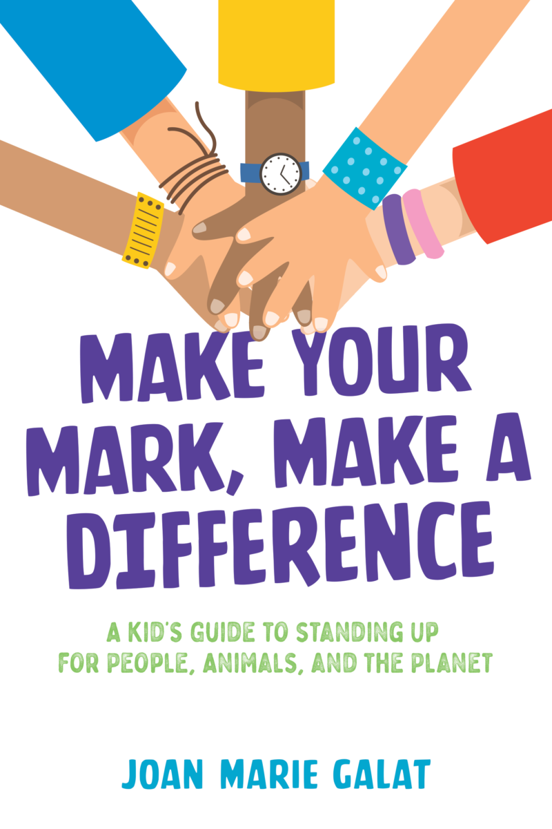 Make Your Mark, Make a Difference book cover